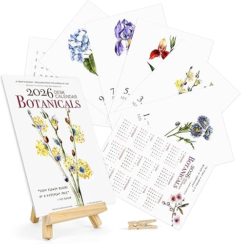 Calendario de escritorio 2025  Fabricado en Estados Unidos, diseñado por artistas locales, calendario mensual con diseño botánico de acuarela para