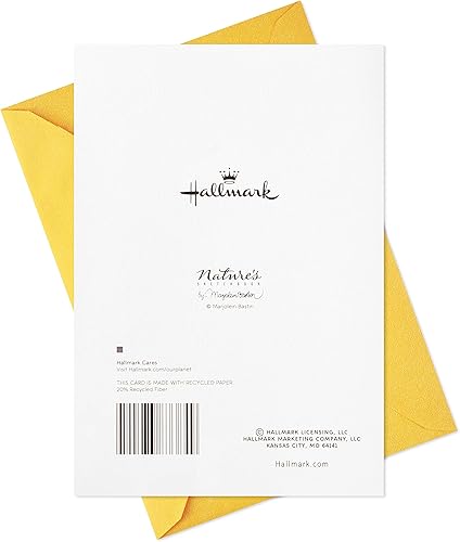 Miniatura 6 de Hallmark Marjolein Bastin Tarjetas de agradecimiento, paquete de 2 (jarrón de flores) para el día de la enfermera, día profesional de