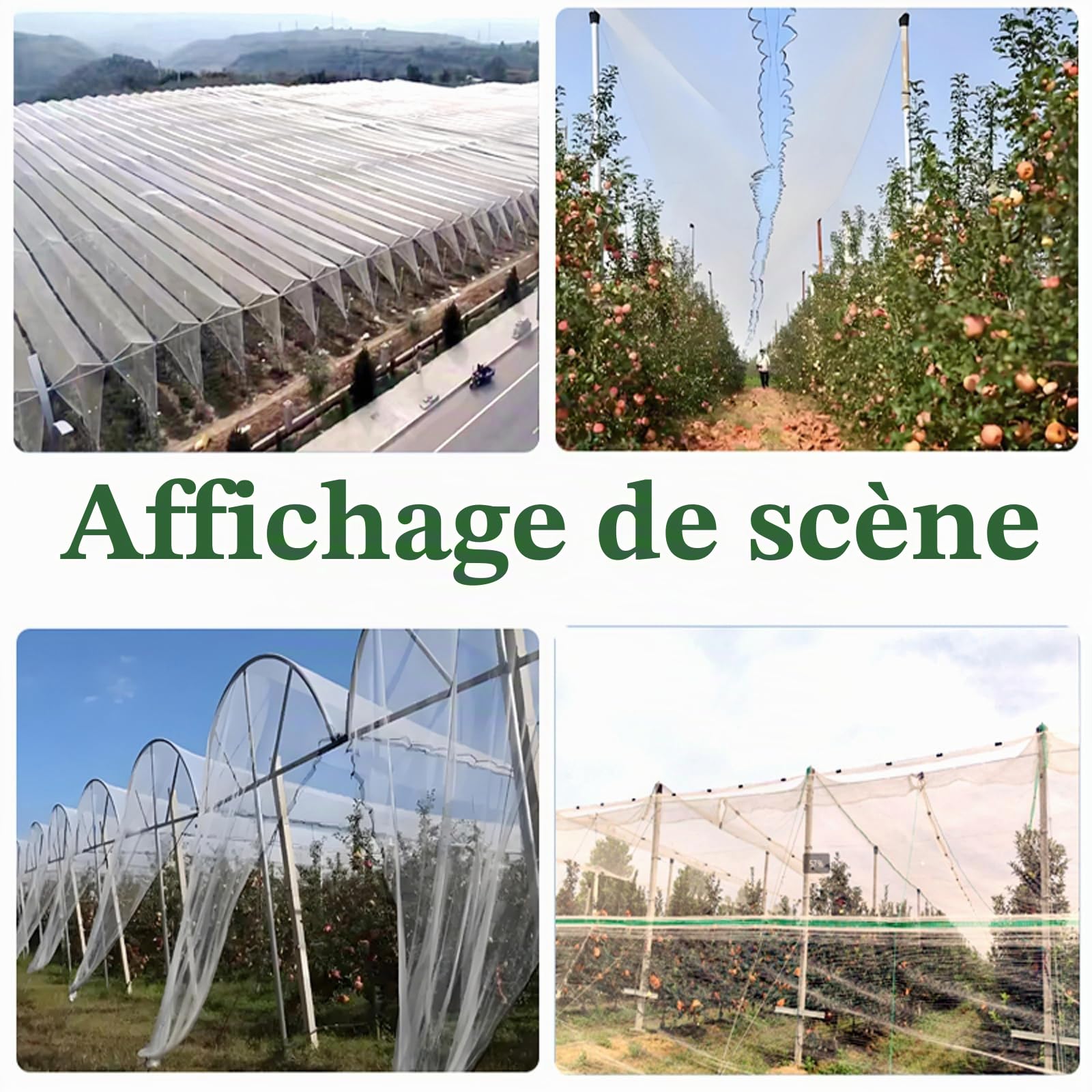 Filets pour Jardin,Filet Anti-GrêLe,Filet Anti-Oiseaux pour ProtéGer Les Fruits,Filet Anti Insecte Potager,RéSistant à La DéChirure,Solide,pour La Protection des Plantes