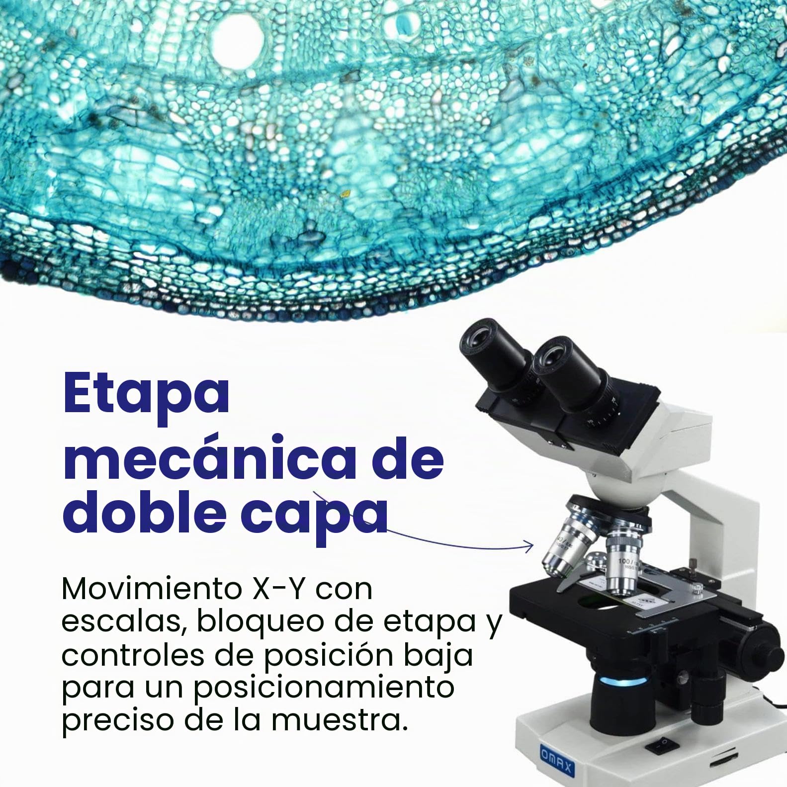 OMAX - 40X-2000X Binocular Microscopio Compuesto LED Lab con Doble Capa Etapa Mecanica + 100 Tapas de Diapositivas en Blanco y Vidrio + 50 Papel Limpiador de Lentes