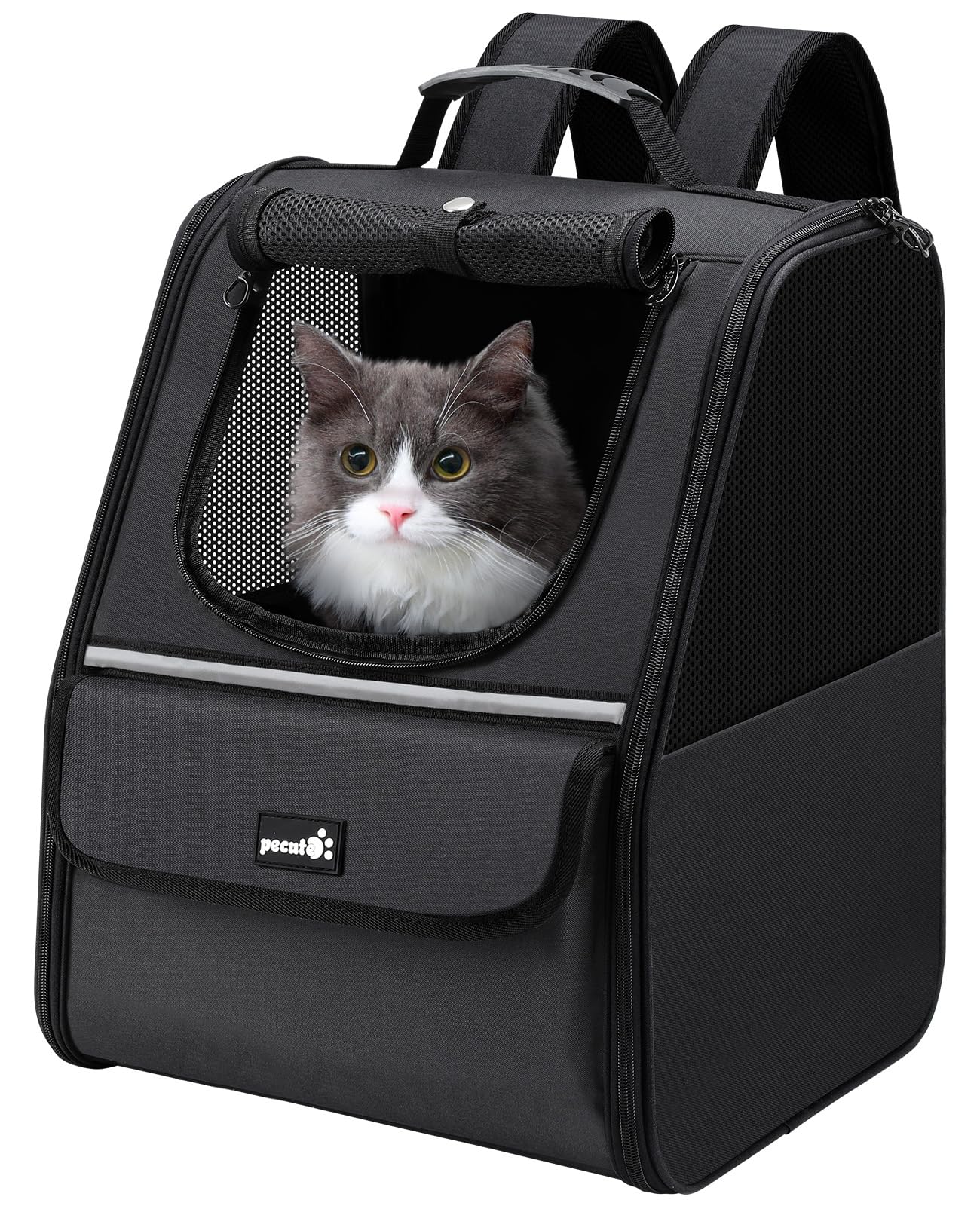 Pecute Zaino per gatti, zaino per cani di piccola taglia, zaino per gatti, cani, cuccioli, gattini, borsa da trasporto per viaggi, escursionismo, bicicletta, equitazione, passeggiate all'aperto, nero
