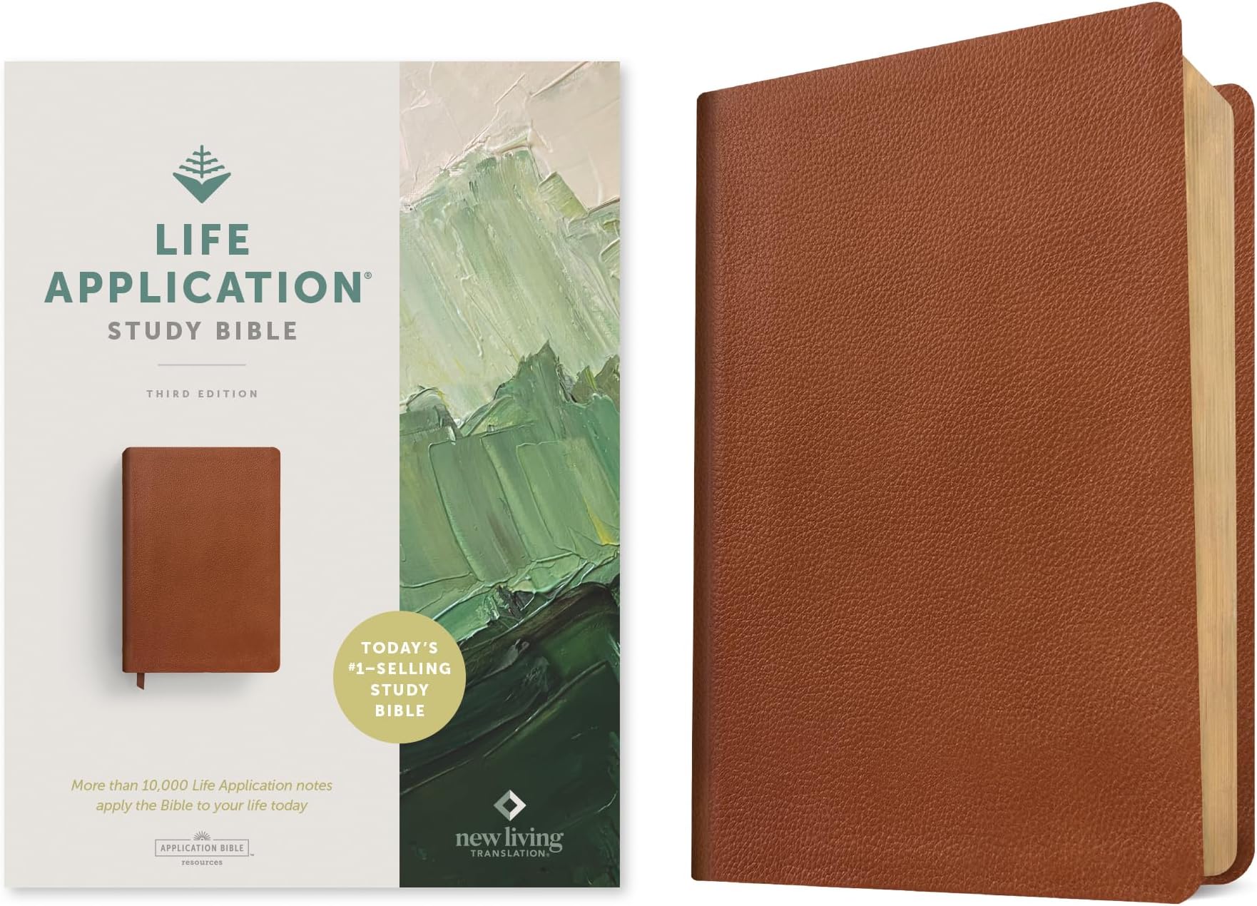 NLT Life Application Study Bible, Third Edition, Brown: Nlt Life Application Study Bible - Red Letter, Genuine Leather, Brown
