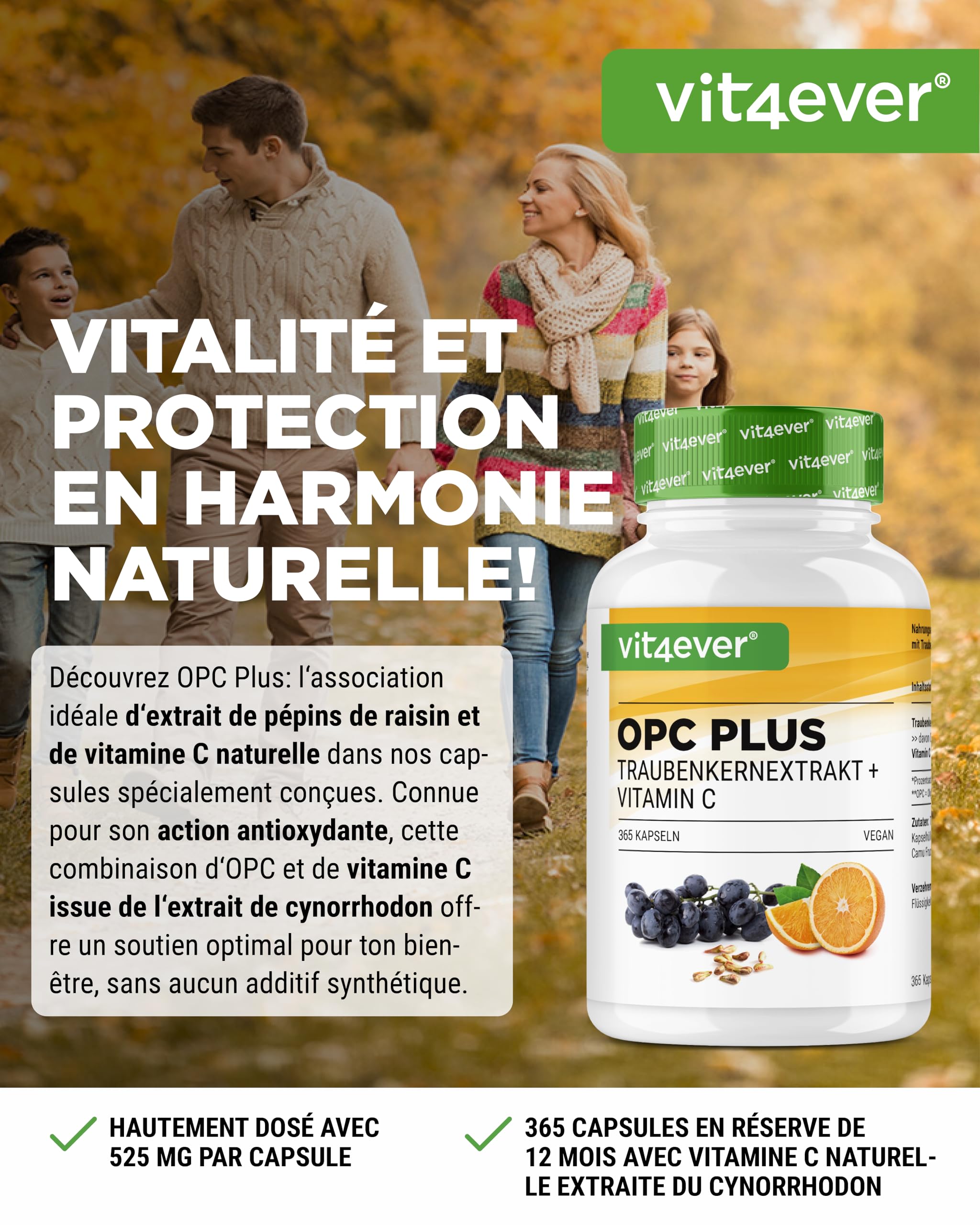 Extrait de Pépins de Raisin OPC + Vitamine C Naturelle - 365 capsules pour 12 Mois - Teneur en OPC la Plus Élevée selon HPLC - De Raisin - Vegan