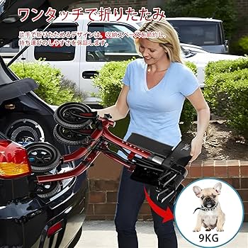 K♢1033 BigAlex　多機能歩行器　四輪歩行車　歩行器　美品！ Amazon | ビグアレクス（BigAlex） 歩行器 四輪歩行車 シルバー