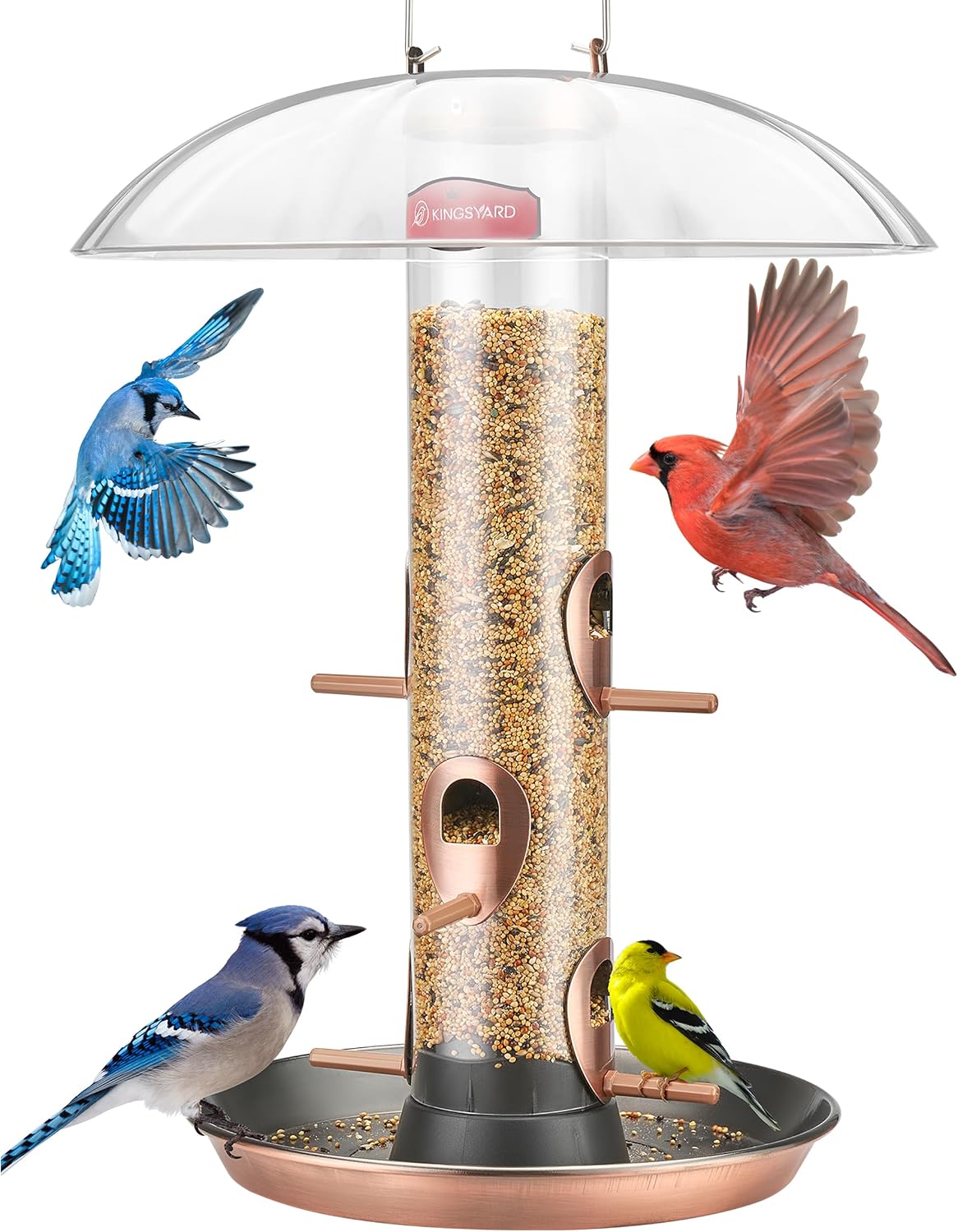 Macaw Birdhouse Rainproof Construction Details Reference: Amazon Com Kingsyard Metal Bird Feeders For Outdoors Hanging Wild