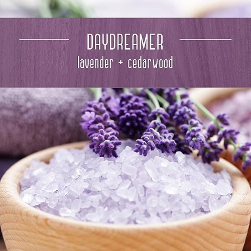 Miniatura 2 de Essential Elements by Candle-Lite Company - Vela perfumada con mecha de madera, Daydreamer, una vela de aromaterapia de una sola mecha de 16 onzas