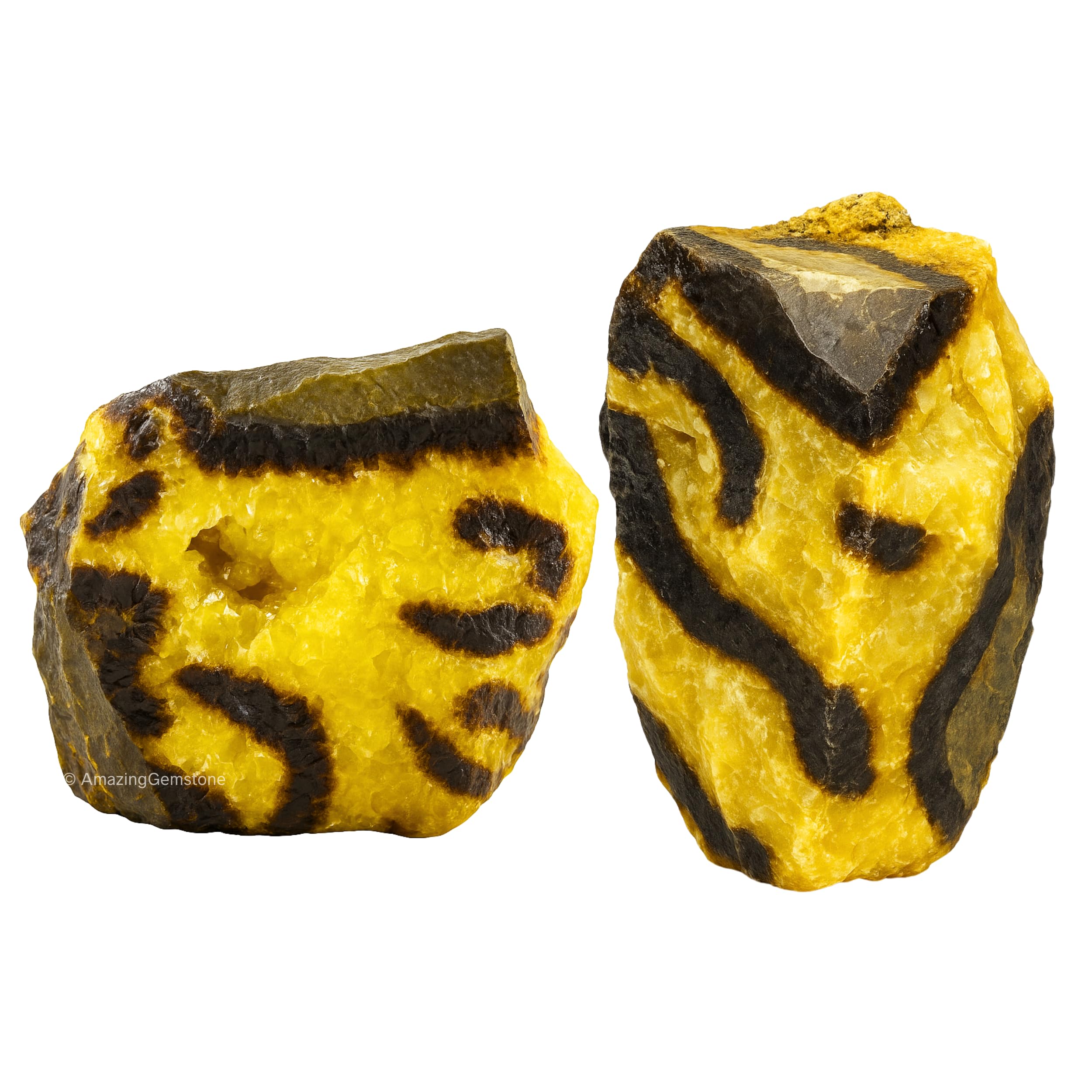 Amazon.com: Amazing Gemstone 2 Pieces Septarian Raw Crystals and
