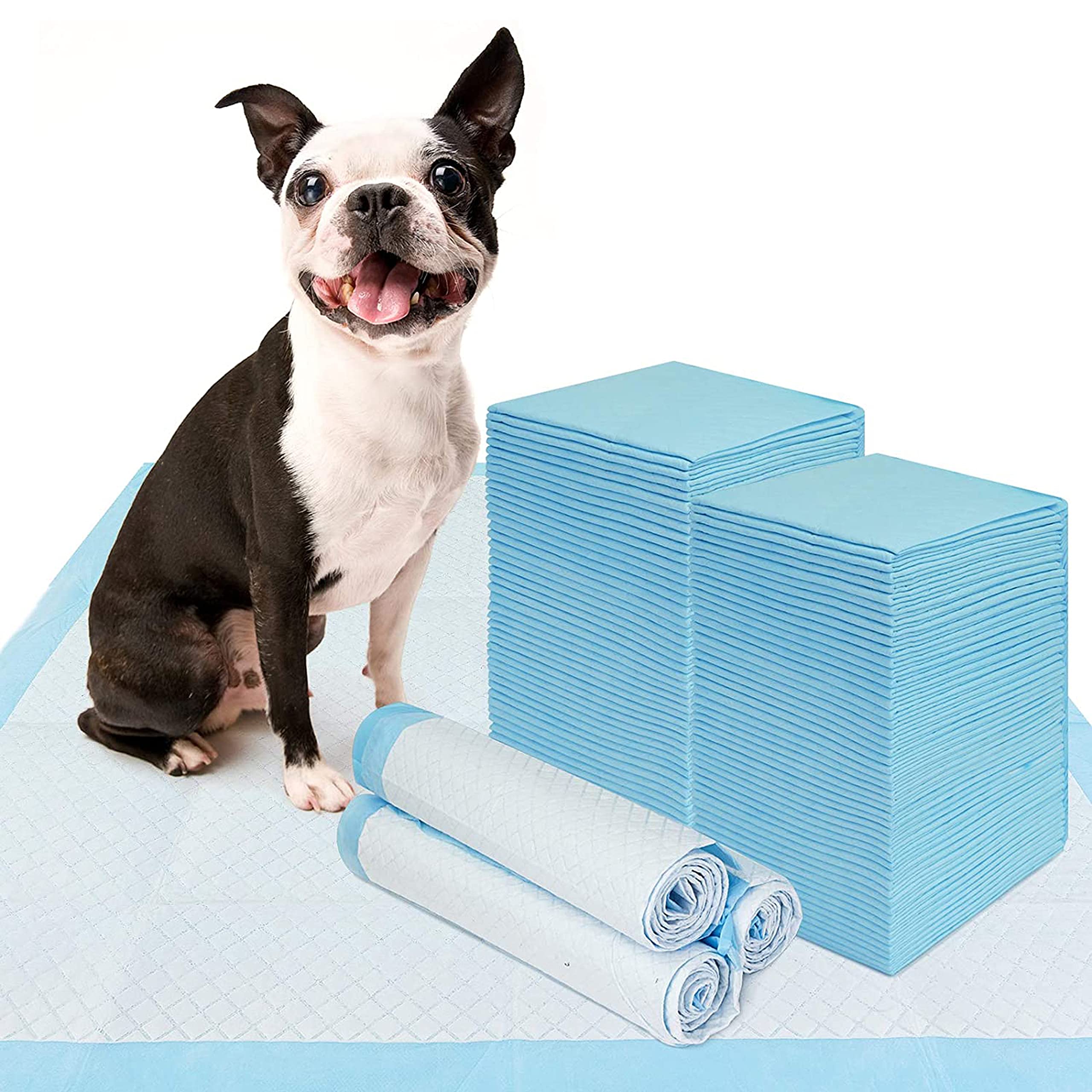 Emily Pets Pee Pads for Dogs Pet and Puppy Training Pads, Potty Pads for Dogs Water Proof Dog Pee pad (Pack of 20) Size: M 60 x 90cm, Blue (B09DSM7WCQ) Amazon Price History, Amazon Price Tracker