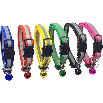 birdsbesafe collar amazon