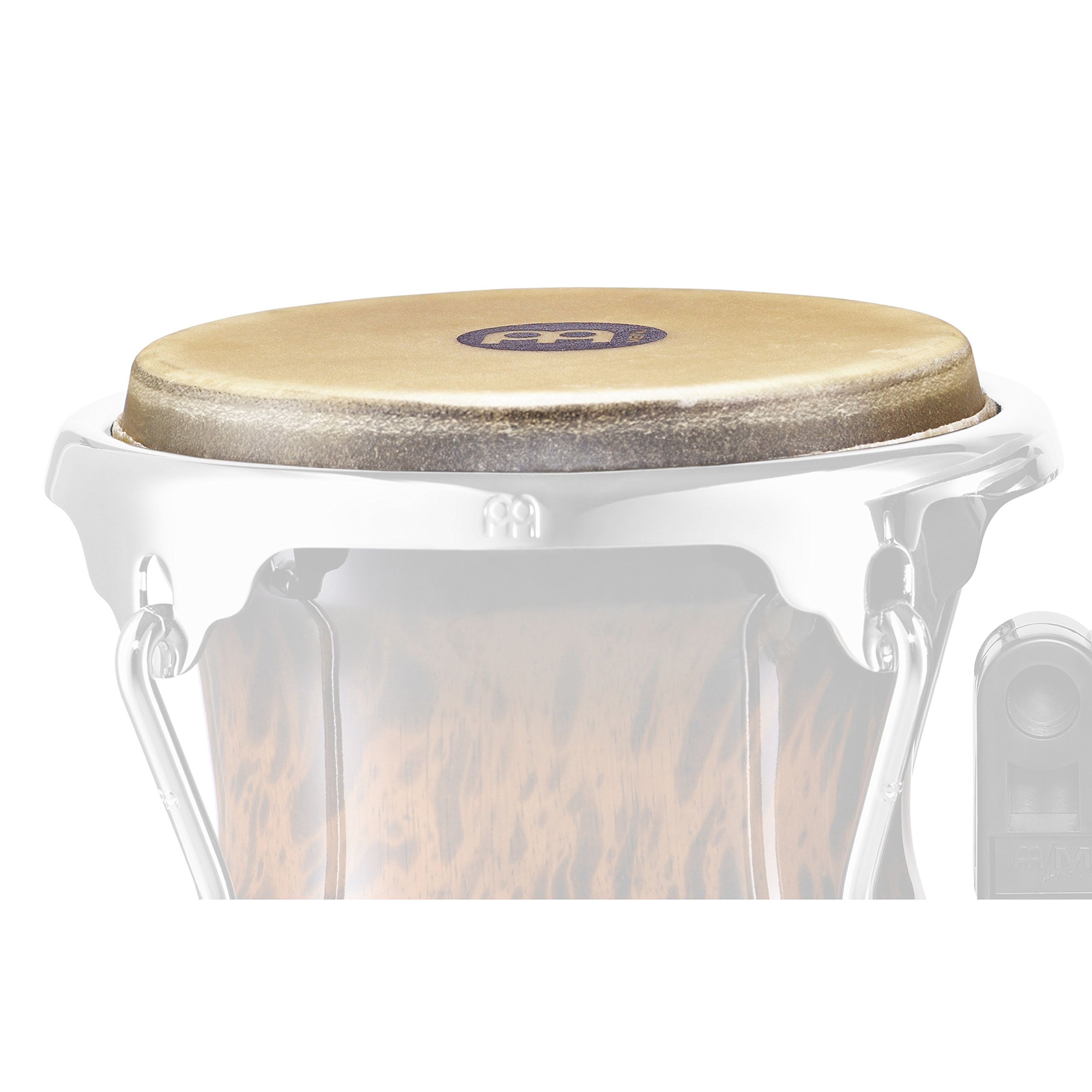 Amazon | MEINL Percussion マイネル ボンゴヘッド 7