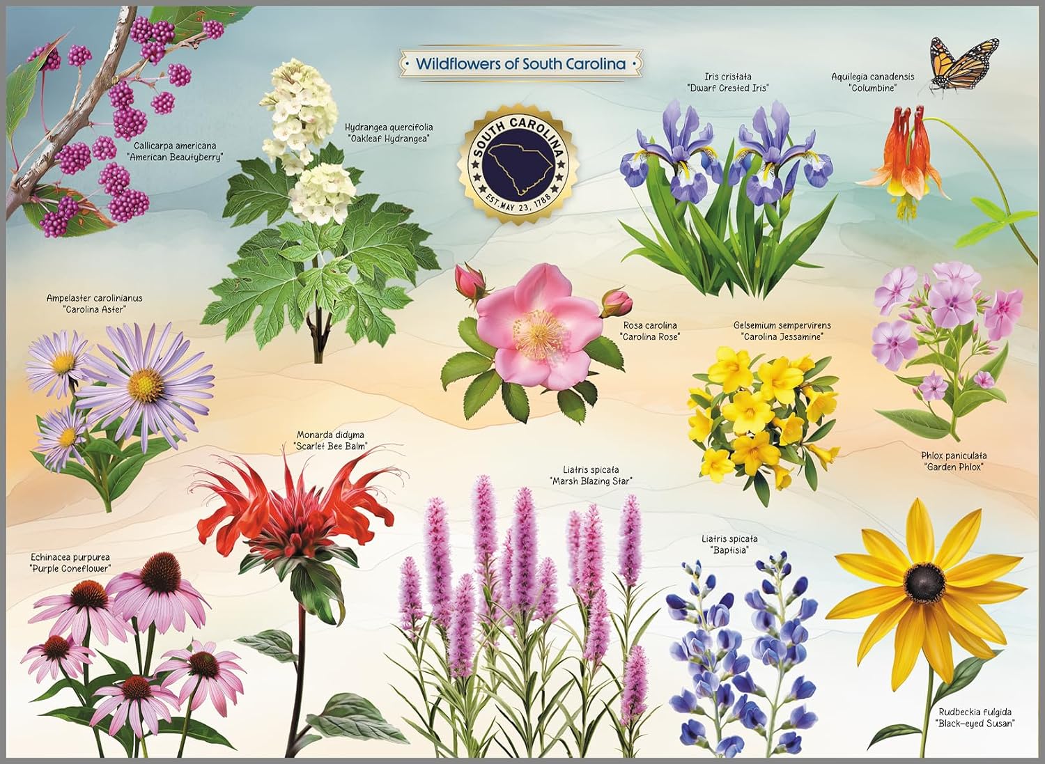 Wildflowers of South Carolina Jigsaw Puzzle - Made in USA