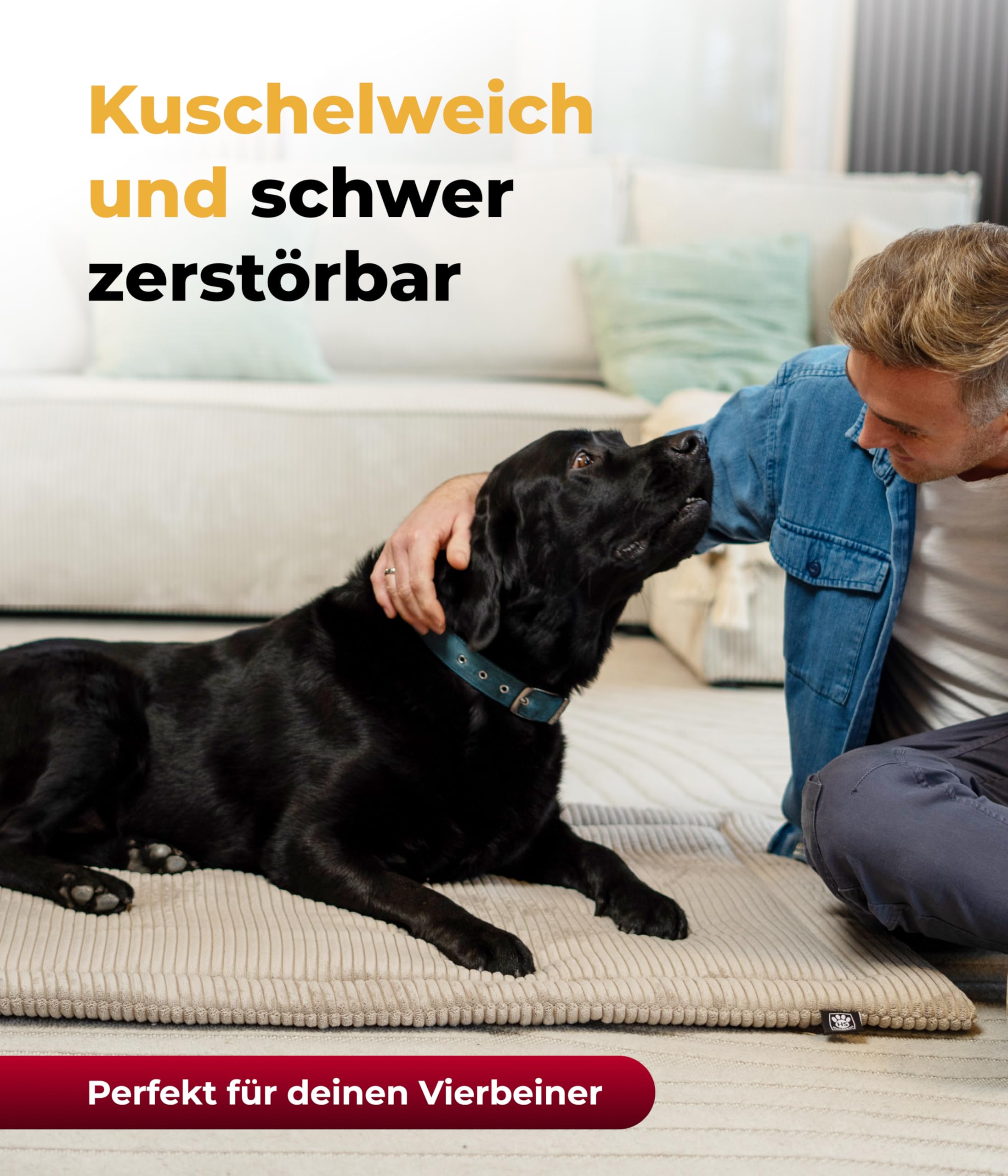 Hundedecke Cord mit Füllung L (75x115 cm) – Waschbare Wendedecke – Kuscheldecke für Hunde – Gemütlicher Ruheplatz – Beige, Made in DE