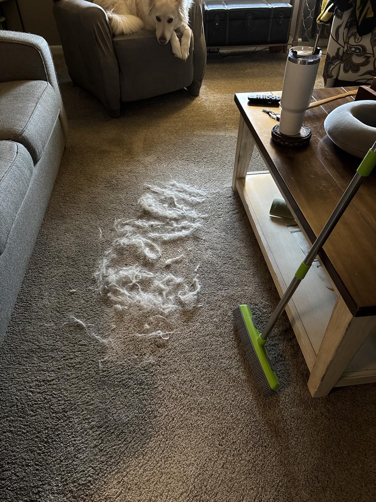 Pet Hair Removal Rubber Broom with 58" Adjustable Long Handle photo review