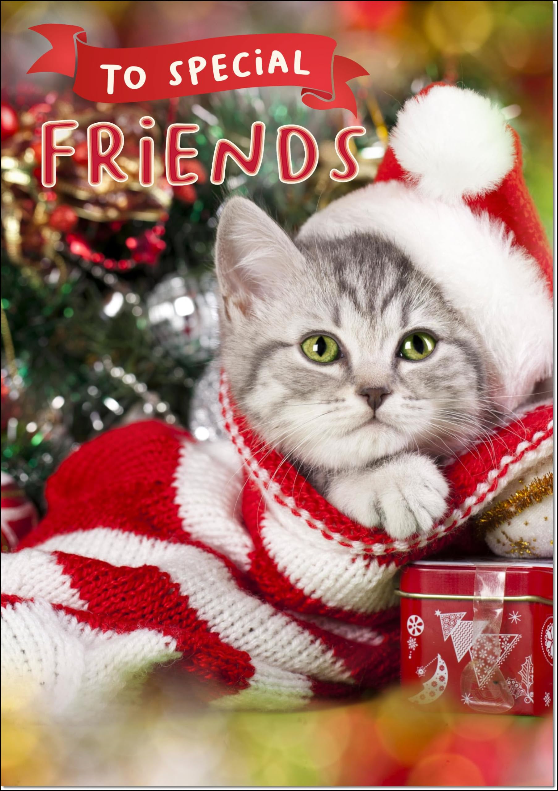 doodlecards Special Friends Christmas Card Cute Santa Paws Kitten Cat Pet Christmas Hat Large A4 Size Christmas Card for Special Friends with Plain Envelope — image 1