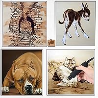 Vista 2 de Kit de combustión de madera, herramienta profesional para quemar madera, bolígrafos duales, bolígrafo de pirografía de quemador de madera