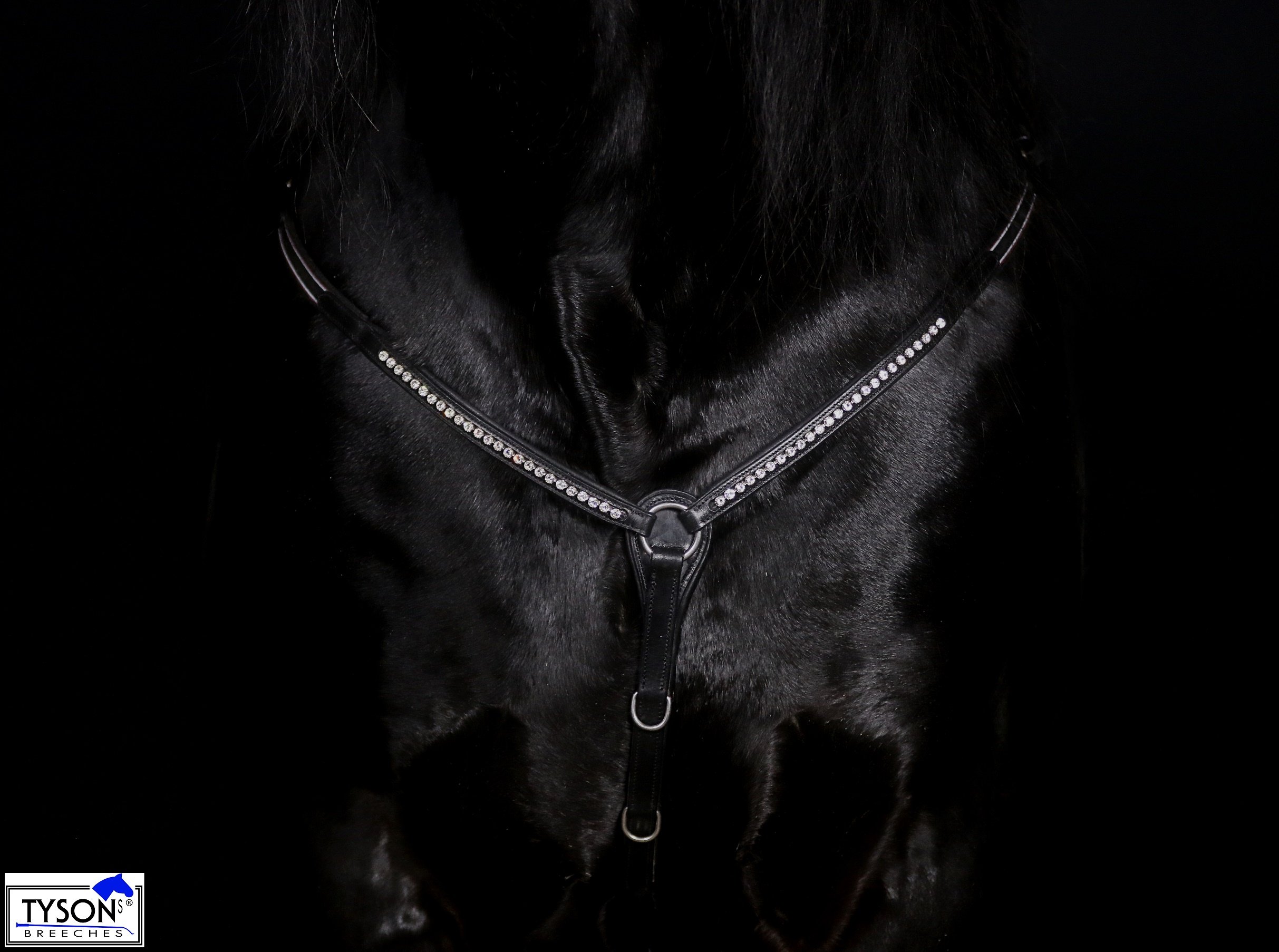 Vorderzeug Hier: Braun Martingal Hilfszügel Deister Glitzer Strass Leder Pony VB WB X Full Tysons (Pony)
