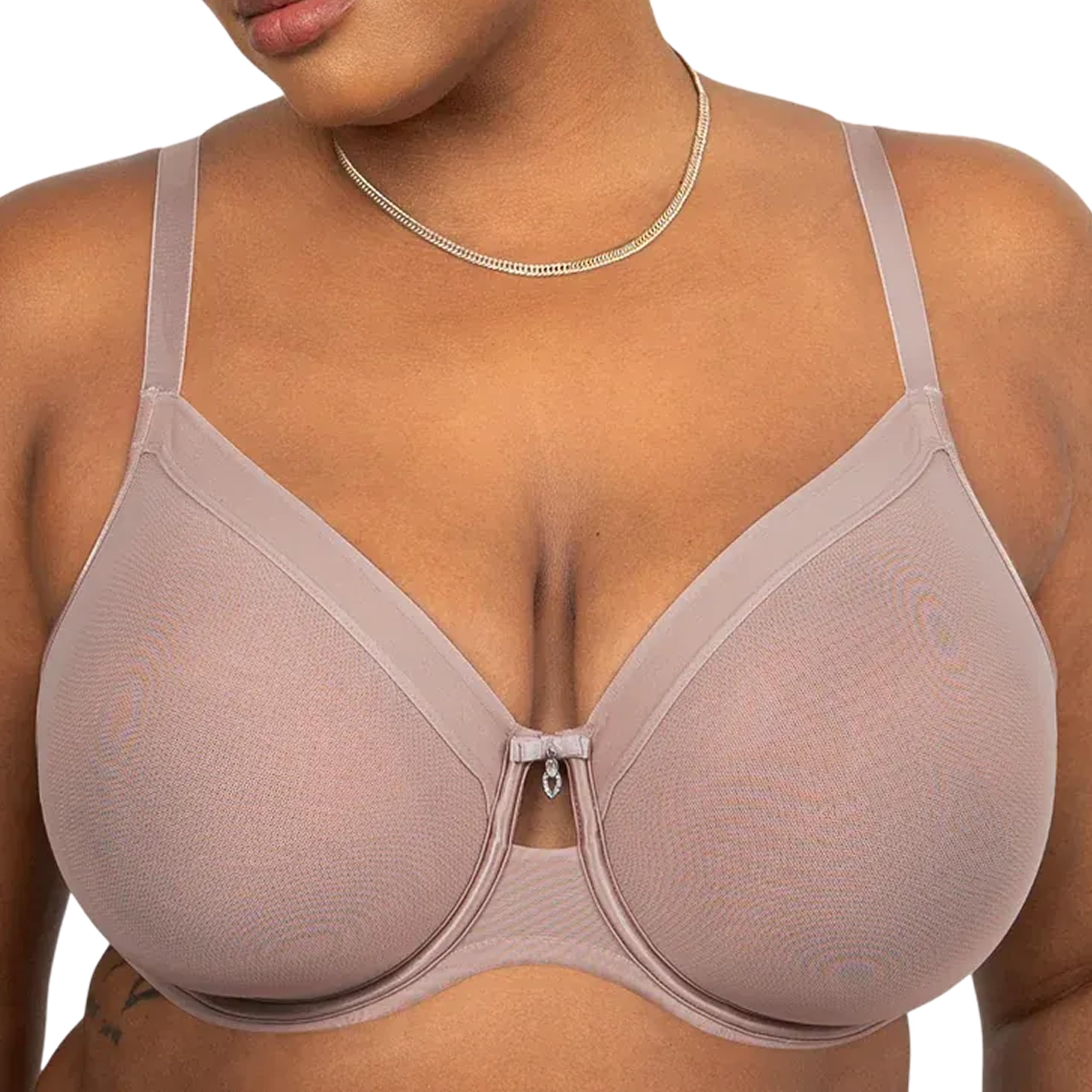 Curvy Couture Women's Sheer Mesh Full Coverage Unlined Underwire Bra, Bark, 38F