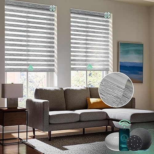 Yoolax Persianas motorizadas de cebra compatibles con Alexa, filtran la luz, persianas traslúcidas de doble capa para día y noche, tamaño