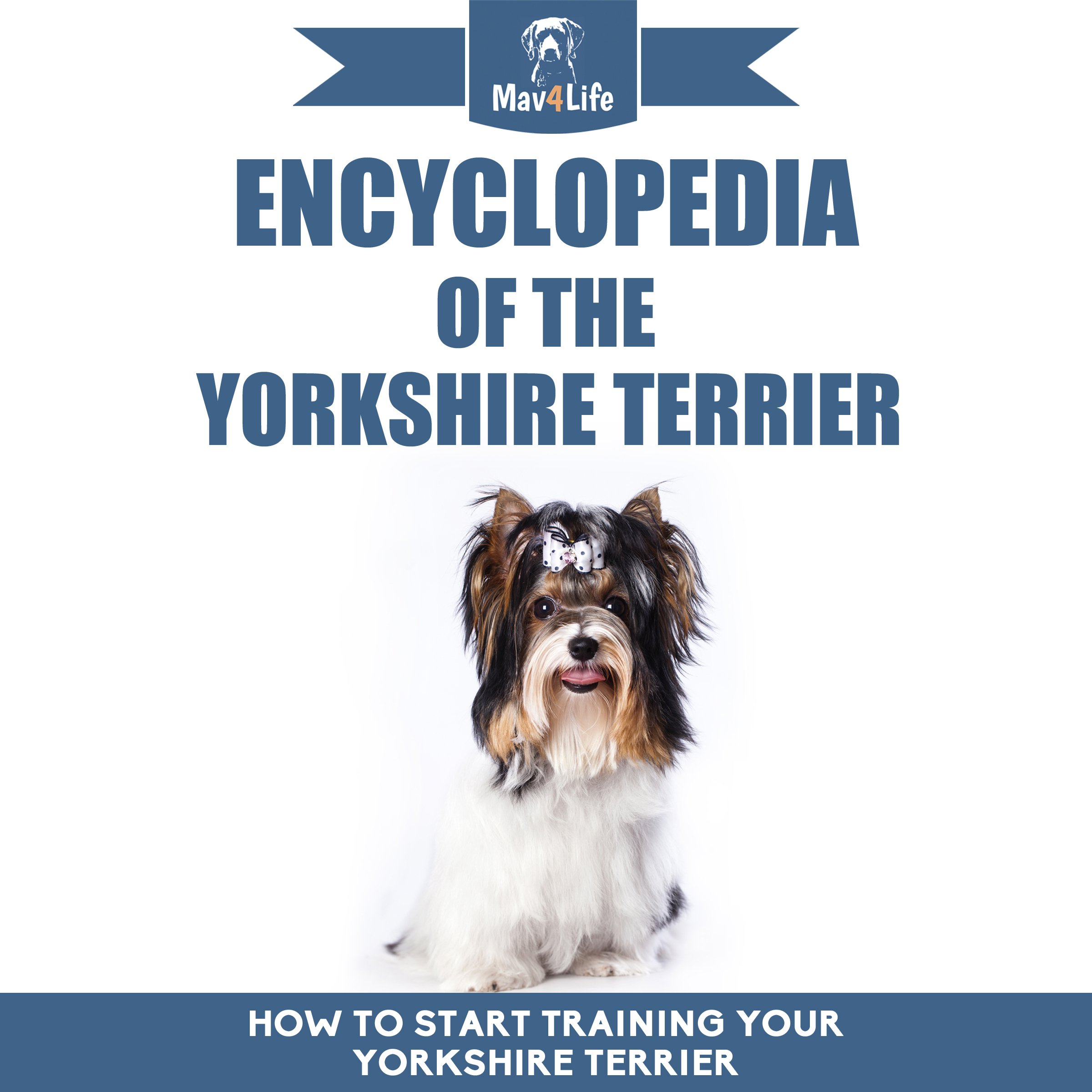Encyclopedia of the Yorkshire Terrier: How to Start Training Your Yorkshire Terrier
