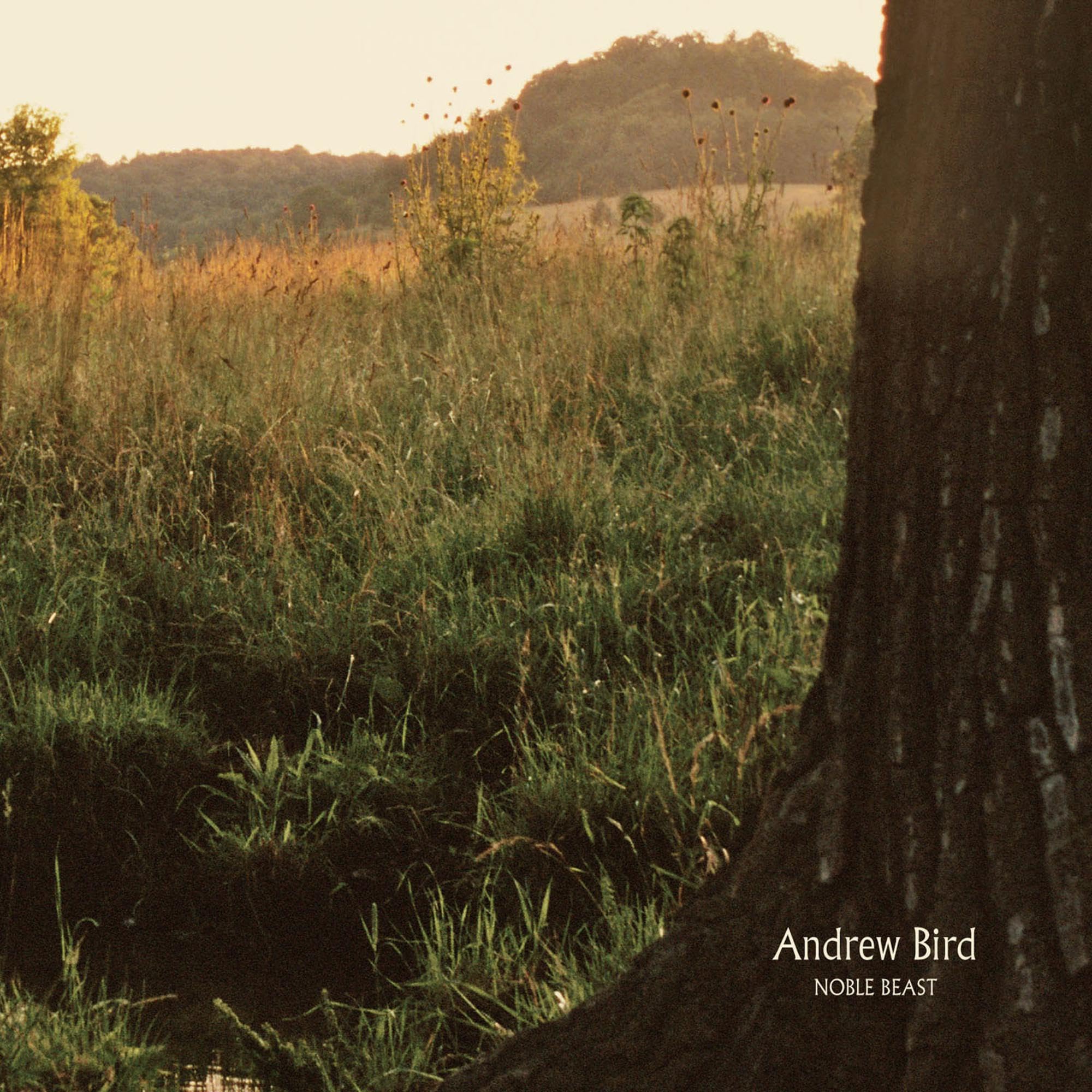 Noble Beast [Audio CD] Bird, Andrew