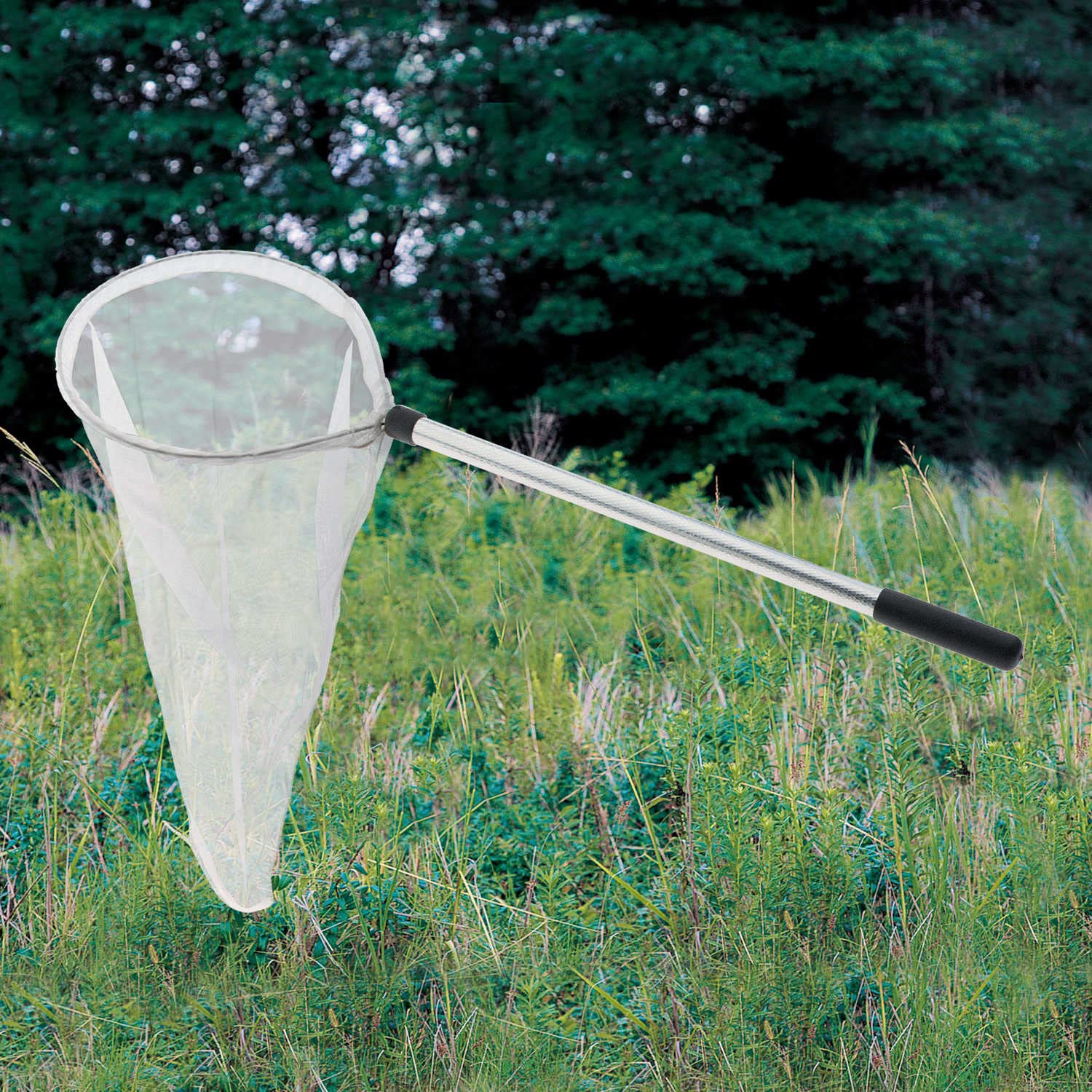 Student Insect Net