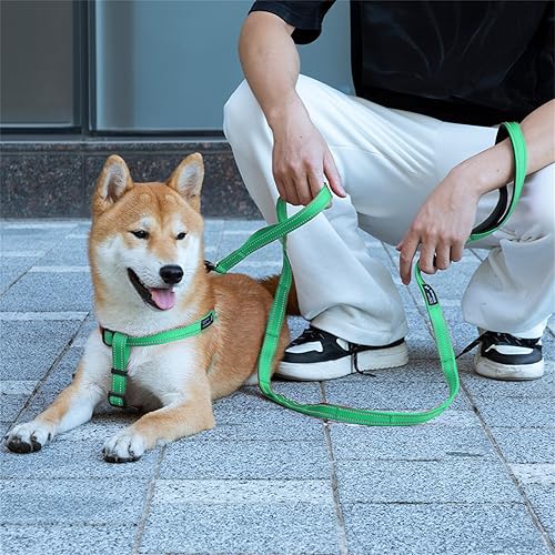 Miniatura 7 de EXCELLENT ELITE SPANKER Correa de nailon reflectante de doble capa para perro, con asa acolchada, correas de nailon de 5 pies para perros para