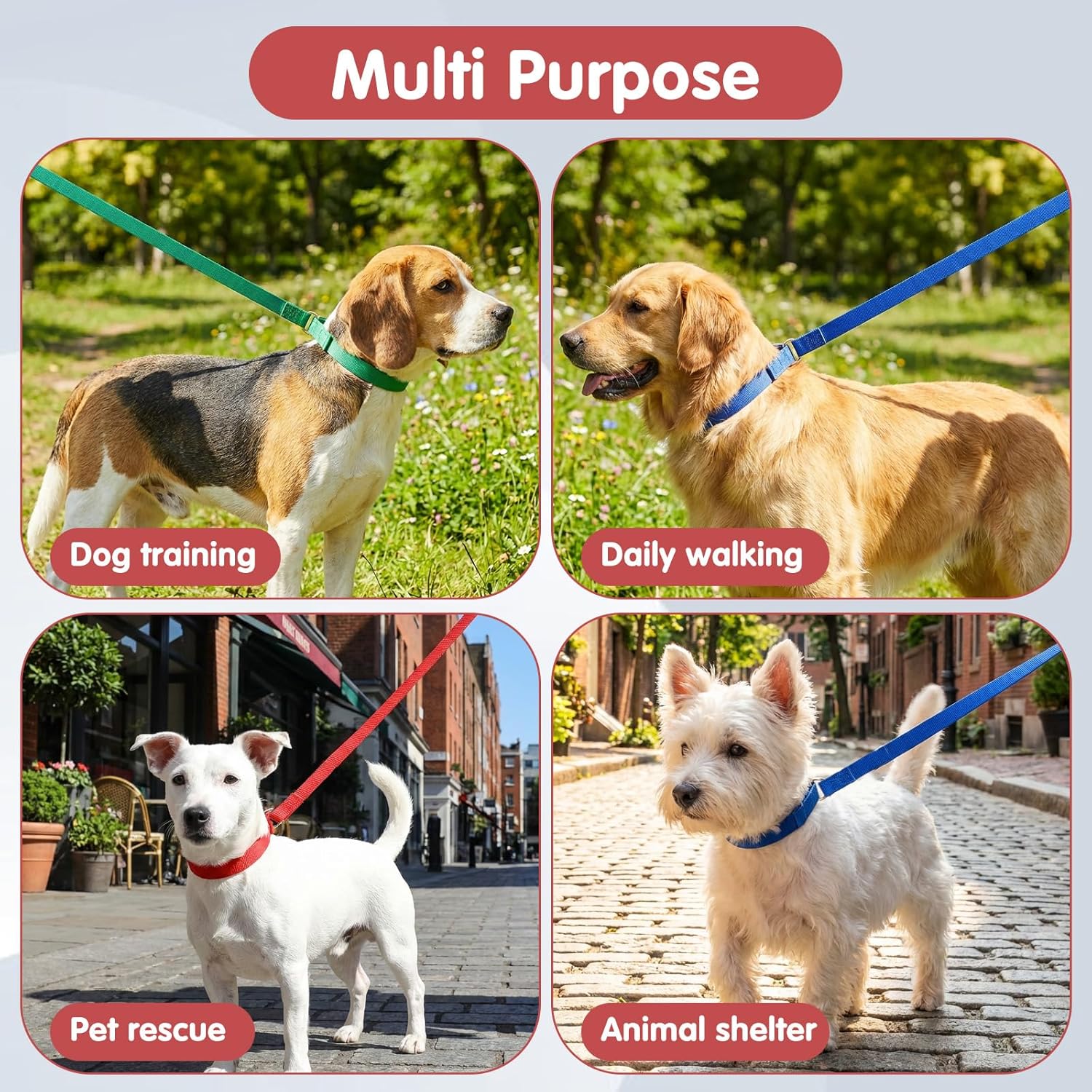24 Pcs Slip Lead Dog Leash, 6 FT Colorful Kennel Control Leashes for Small Medium Large Dogs Puppy Animal Rescue, Grooming, Heavy Duty Strong Nylon with O-Ring for Shelter, Vet, Training