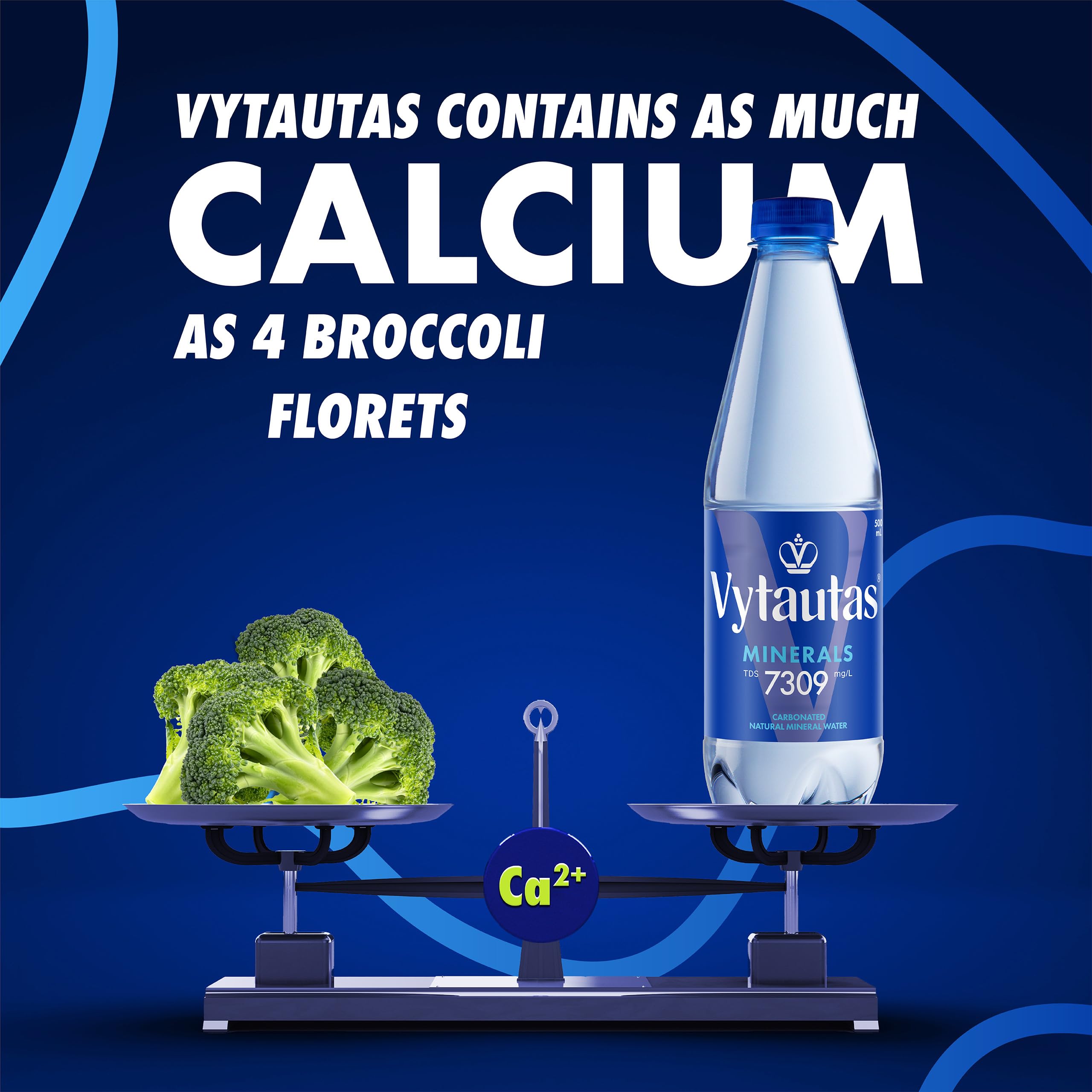 Vytautas Acqua Minerale Naturale Frizzante Confezione da 12 da 500 ml per un'idratazione Massima Ricca di Minerali Essenziali come Calcio, Magnesio, un'acqua Funzionale con Elevata Mineralizzazione