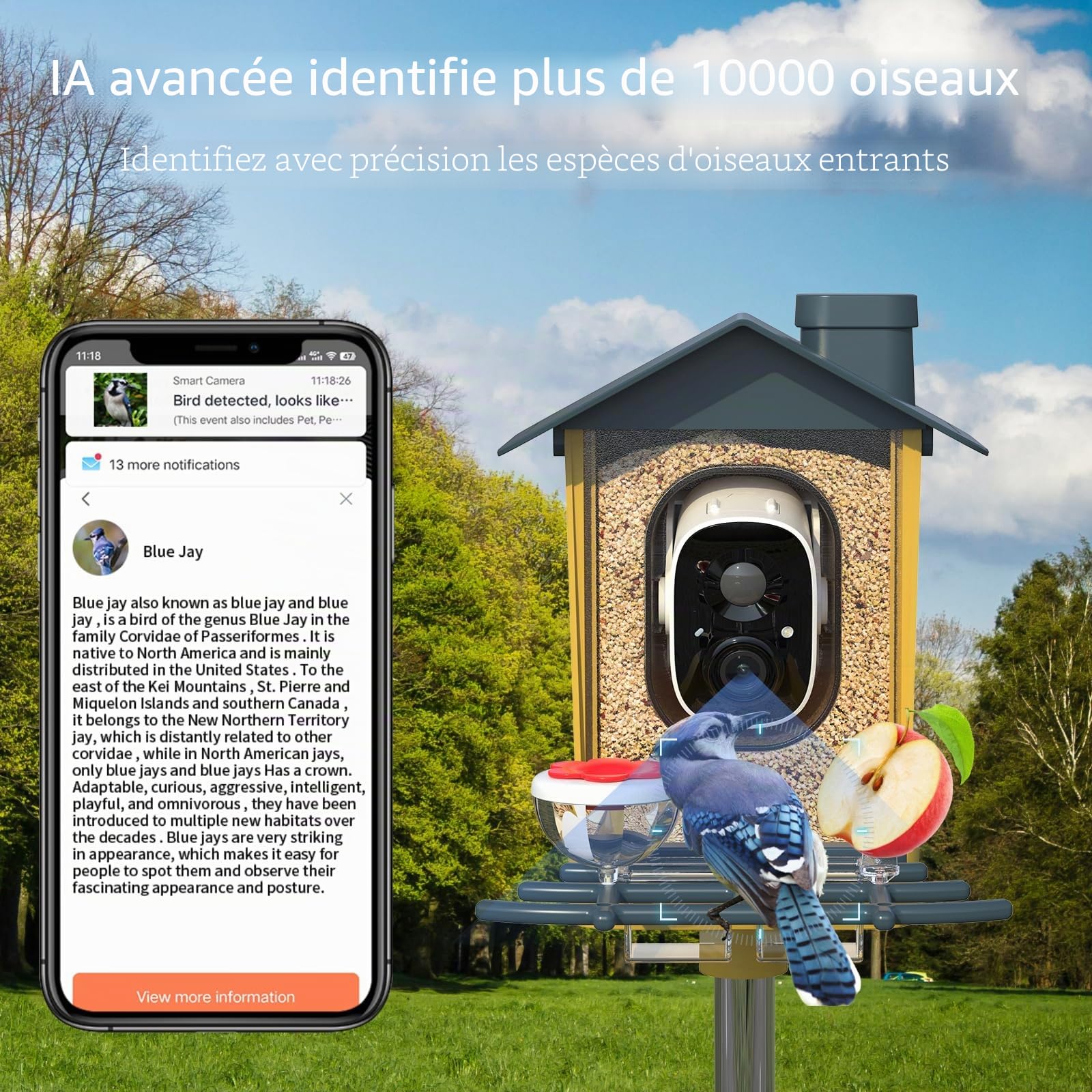 Mangeoire à oiseaux avec caméra – Caméra intelligente avec identification des espèces d'oiseaux, enregistrement automatique des vidéos des oiseaux, notifications instantanées, caméra vidéo 2K