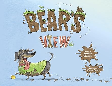 Bear's View