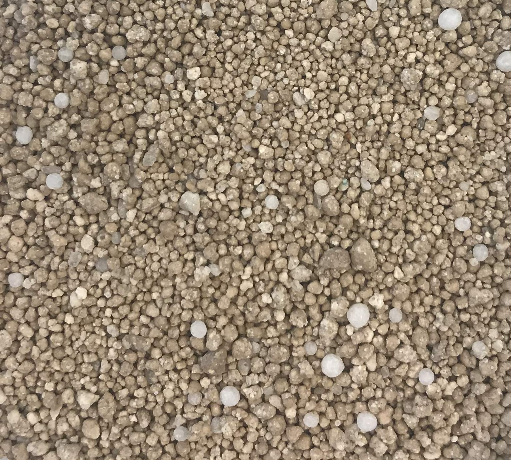 Substral Langzeit Rasendünger, 250 m², 5 kg, 100 Tage Langzeitdüngung, für dichten und saftig grünen Rasen