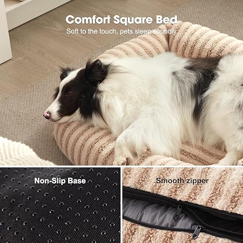 Miniatura 5 de MIXJOY Camas para perros pequeños y gatos, cama lavable para perros con funda extraíble, cama suave y relajante para gatos de interior, sofá cama