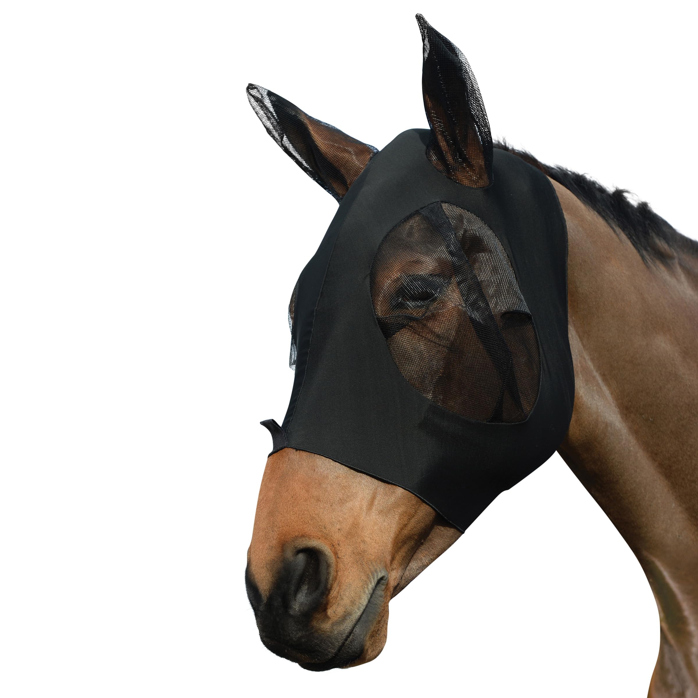 WeatherBeeta Stretch Bug Eye Saver with Ears, Black/Black, Pony