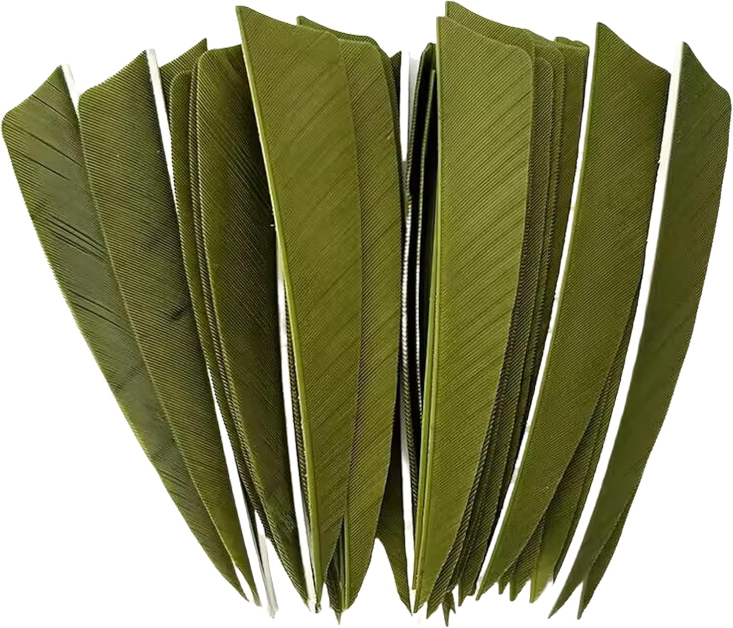 wolfman 100pcs 3" 4" 5” Archery Fletches Shield Cut Arrow Feathers Turkey Feather Right/Left Wing Hunting/Targeting Arrows Accessory