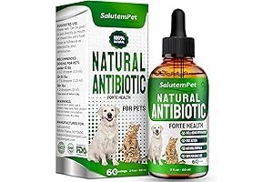 Forte Health: Antibiotics for Dogs, Cats & Pets  | Forte Health