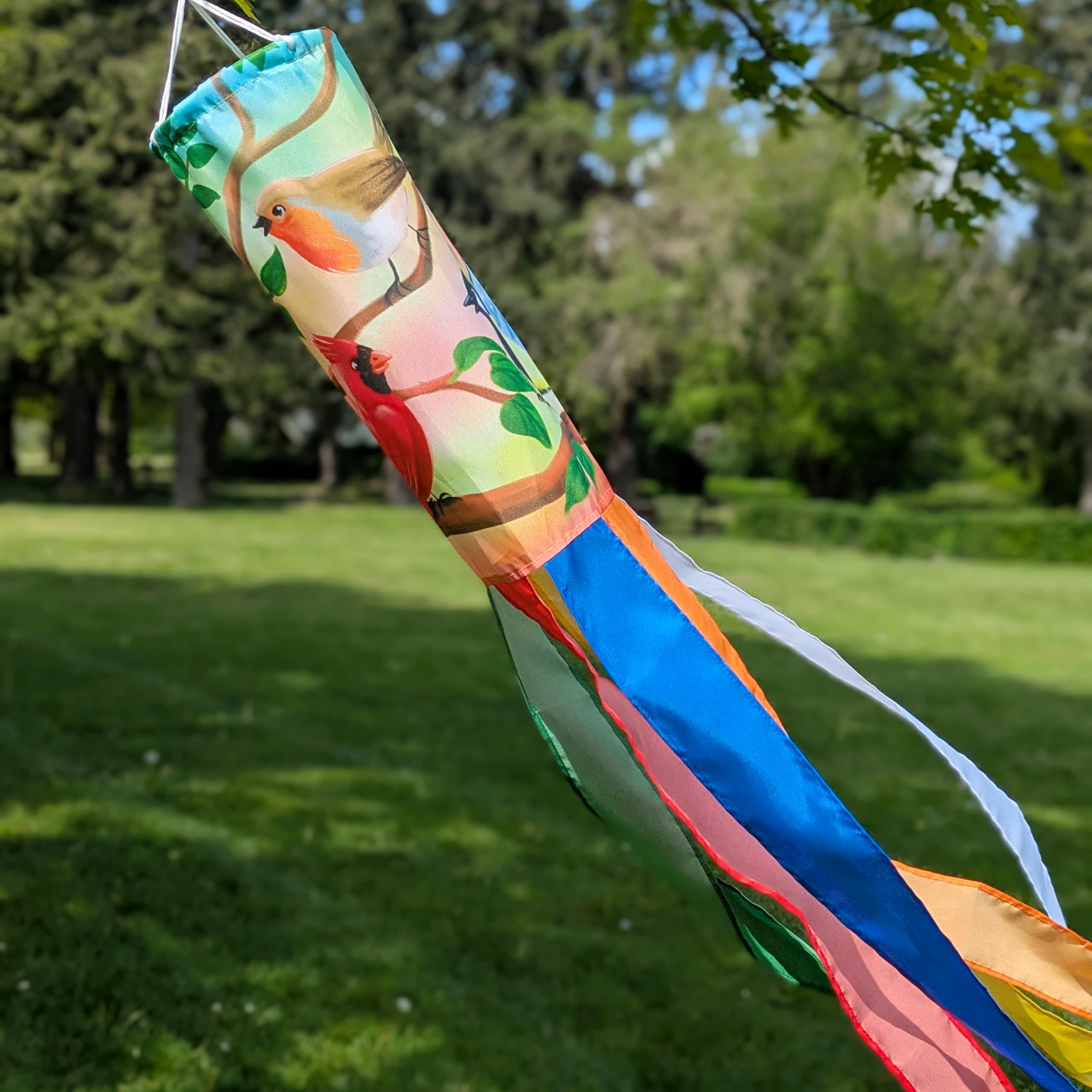 Madrona Brands Singing Birds Windsock | Durable Outdoor Hanging Decoration | Yard, Garden, Patio | 48 Inch