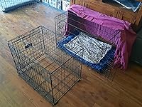 Review Image by Conner Romesco Conner Romesco