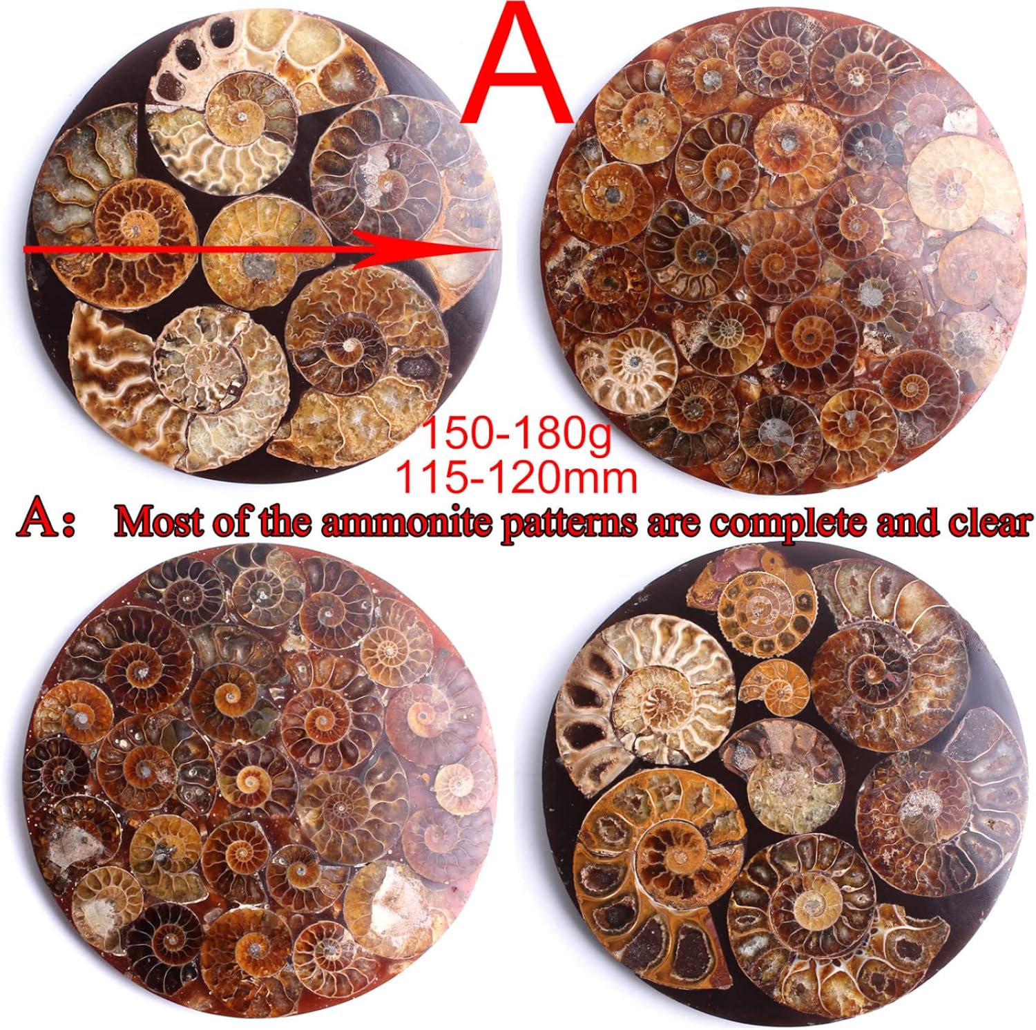 115-120mm Natural Ammonite Fossil Shell Plate Disk Base Ammonoidea Amonitas Healing Collection Home Decoration Gift,Board A 115-120MM