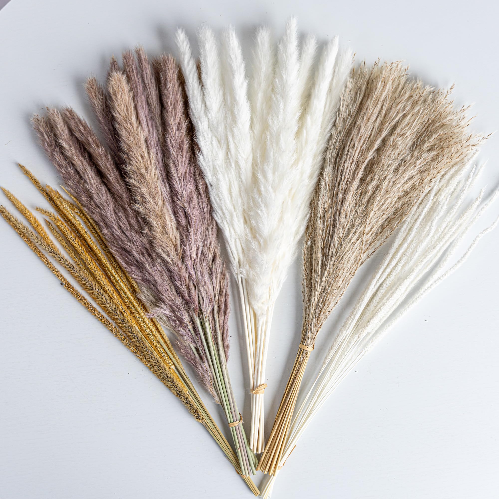 Lot de 70 bouquets de fleurs séchées naturelles d'herbe de la pampa bohème pour décoration d'intérieur, bouquet de phragmites pour mariage, arrangements floraux, décorations de salon (70 pièces)