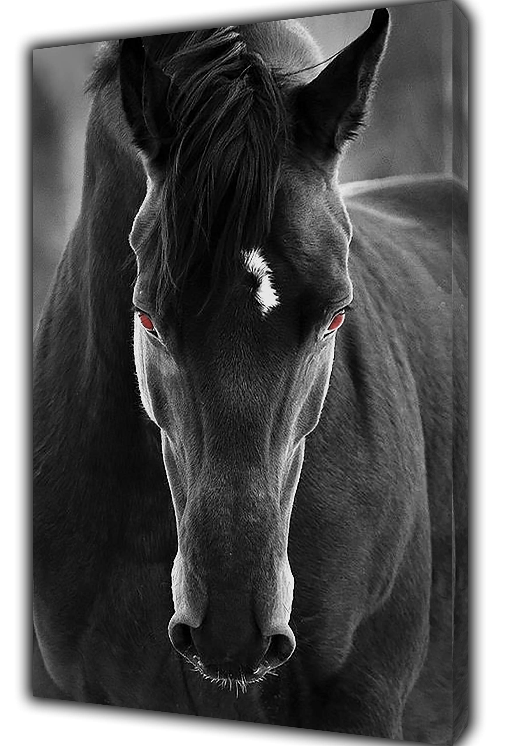 ARTSPRINTS BEAUTIFUL BLACK HORSE PHOTO PICTURE PRINT ON FRAMED CANVAS WALL ART HOME DECORATION 12x 8inch -18mm depth