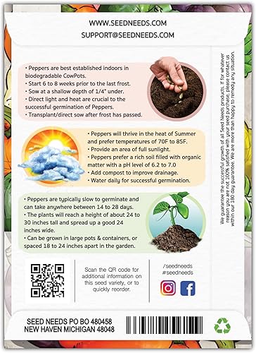 Miniatura 2 de Seed Needs, Semillas de pimiento arcoíris  100 semillas tradicionales para plantar Capsicum annuum  perfectas para un jardín interior o exterior,