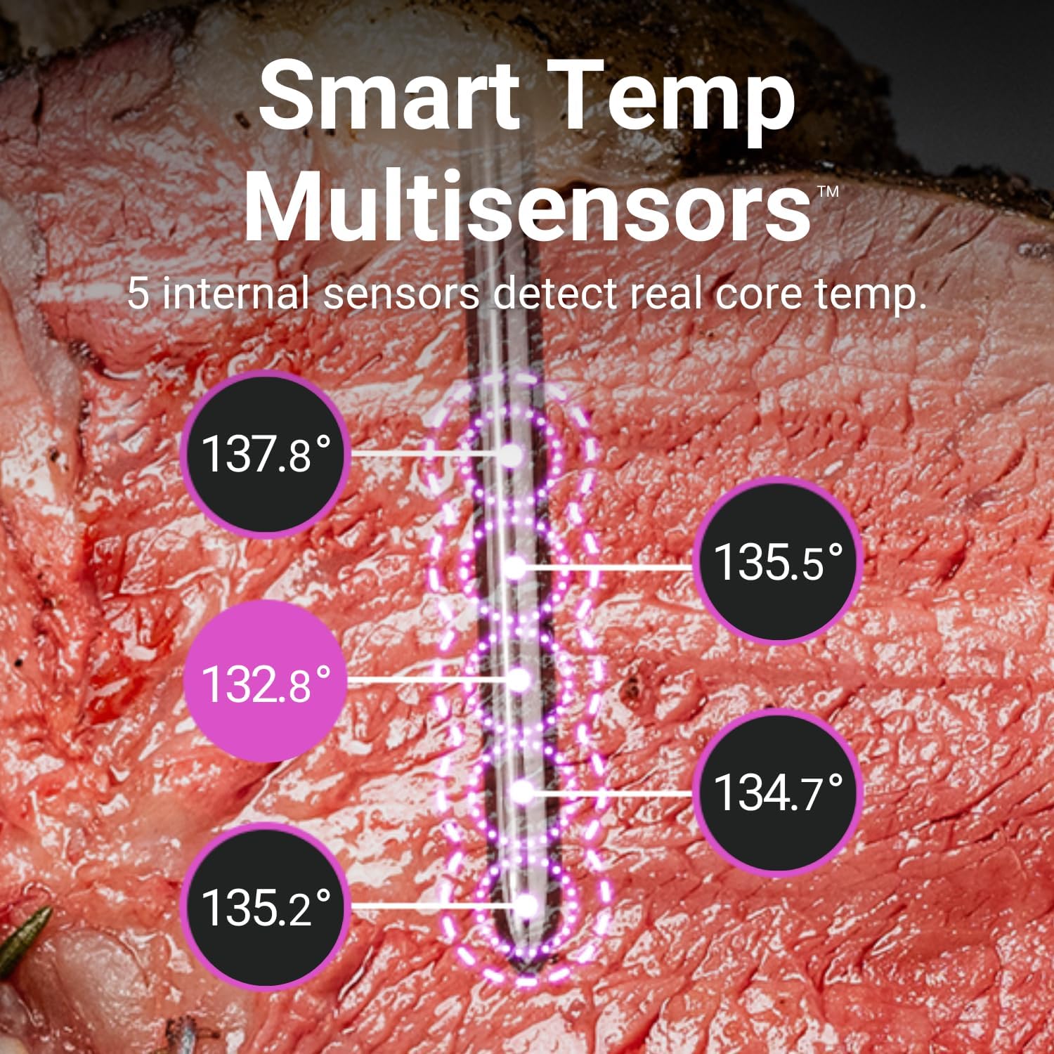 MEATER Pro: Termometro digitale wireless Bluetooth intelligente | Resistenza al calore di 537,8 °C | Lungo raggio | Precisione certificata | BBQ, forno, grill, affumicatore, friggitrice ad aria,