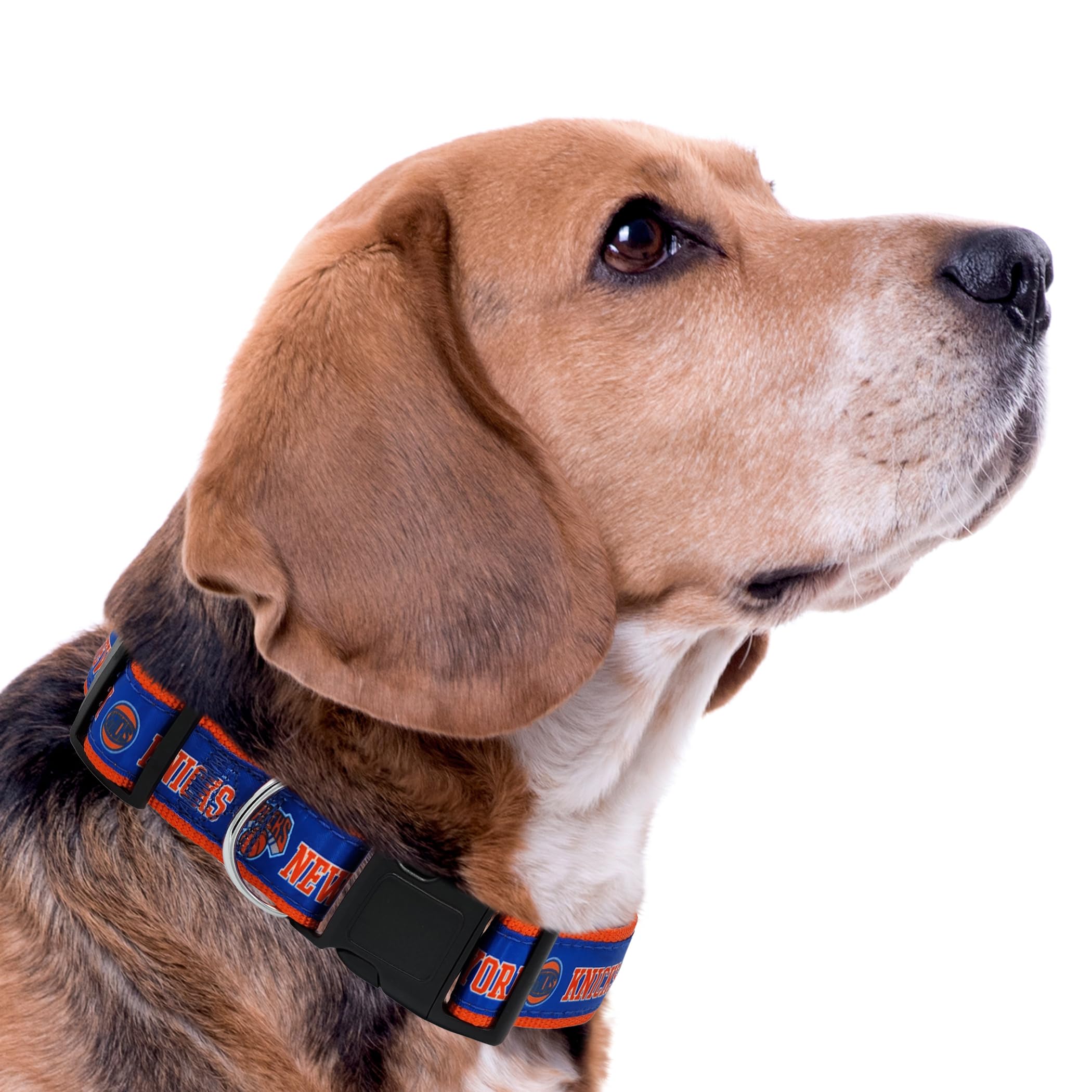 NBA PET Collar de perro de los New York Knicks, tamaño pequeño, collar de equipo de baloncesto para perros y gatos. Un collar brillante y colorido para perros y gatos con licencia de la NBA