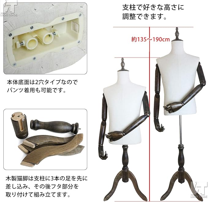 男性 マネキン、トルソー (組み立て式) - 通販 - guianegro.com.br