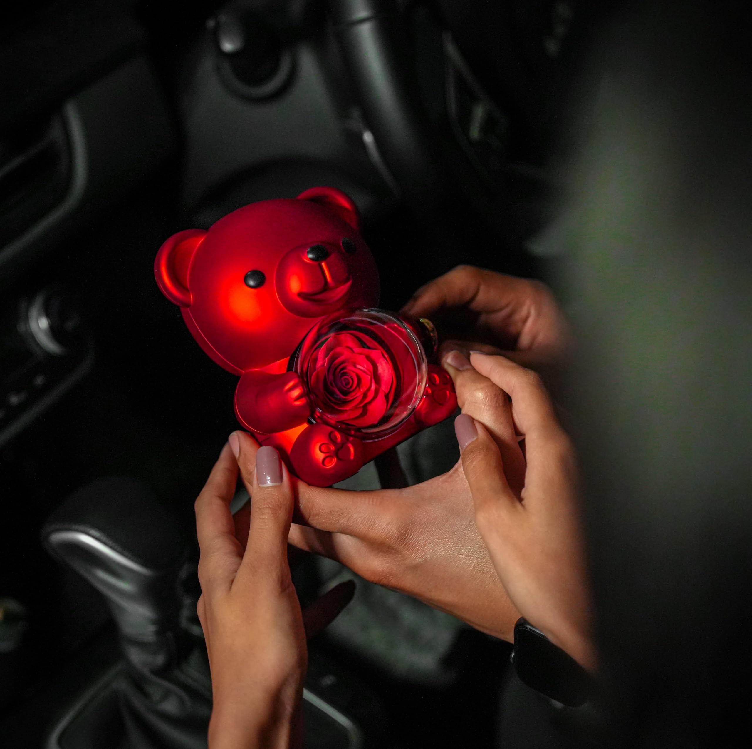 Romantic Teddy Bear Gift with Rose & Necklace - I Love You -3