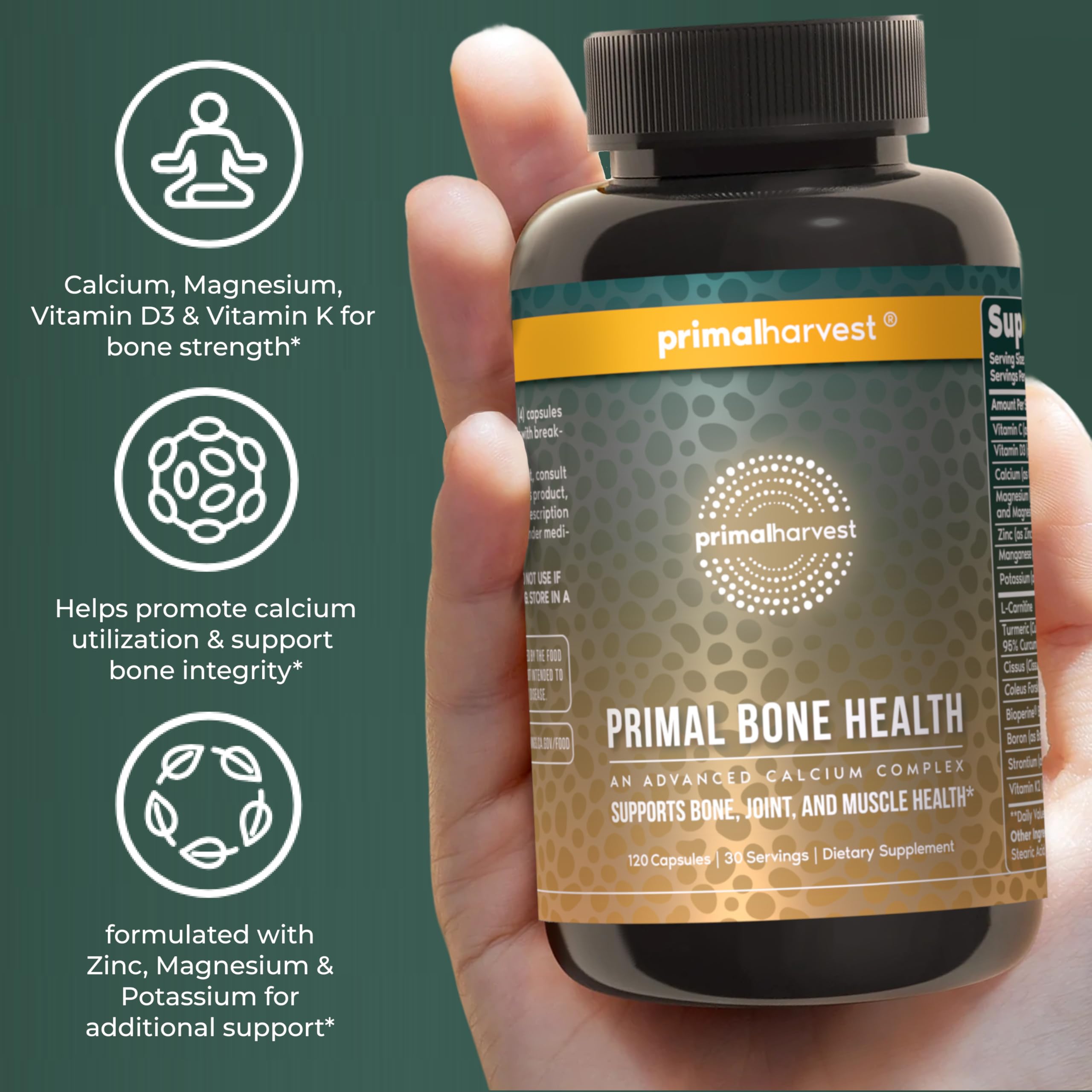 l-carnitine and bone Primal Harvest Primal Health Calcium Carbonate Bone Health Complex for Men & Women with Calcium, Magnesium, Zinc, Manganese, Potassium, & (1 Pack) : Health & Household Dietary intervention rescues a bone