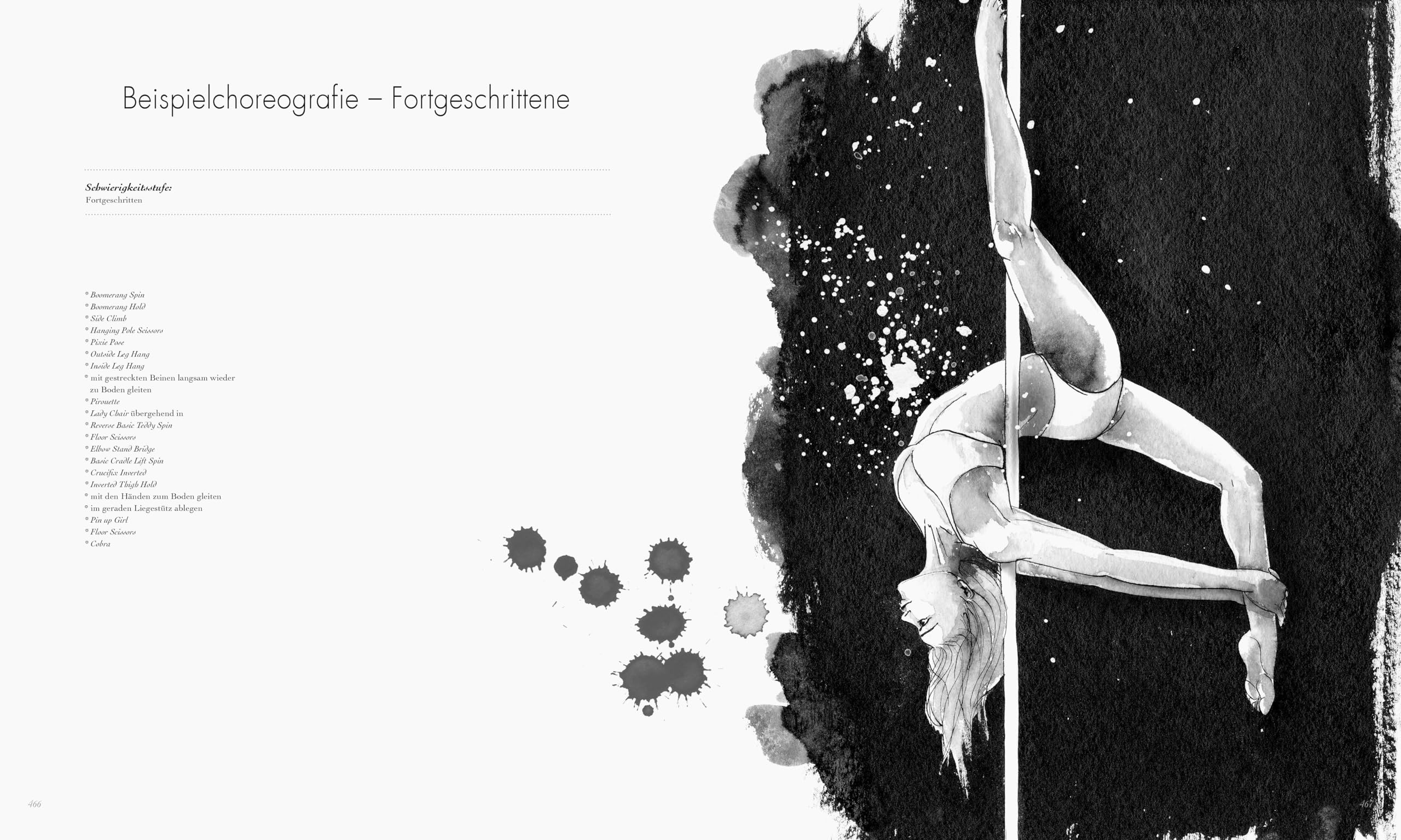 Poledance Passion - Technik, Training, Leidenschaft - Schritt-für-Schritt-Anleitungen zu 200 Pole Dance Figuren. Mit Porträts internationaler Pole Ikonen.