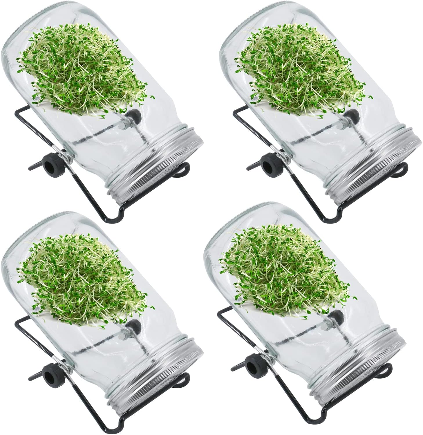 Finderomend 4 Pack Seed Sprouting Jar Kit-Sprouter Mason Jars with with 304 Stainless Screen Lids, Stands Indoor Seed Sprouter Germinator, Grow Your Own Broccoli Alfalfa Beans Sprouts (4 Transparent)