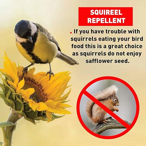 Miniatura 4 de EasyGo Product Safflower Bird Seed Wild Bird Food – Great for Cardinals, Chickadees, Titmice, Doves, Woodpeckers and Grosbeaks – 50 Pounds, White