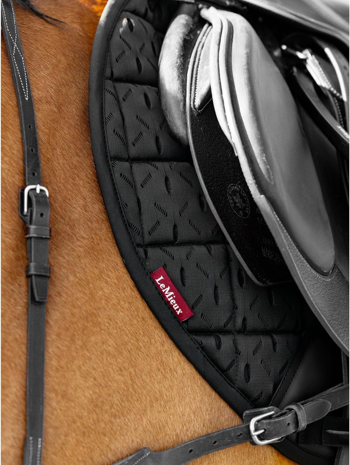 LeMieux 3D Mesh Self-Cool Eurojump Square - Flexible Mesh Spine - Feel Cool Lining - Black - Small/Medium